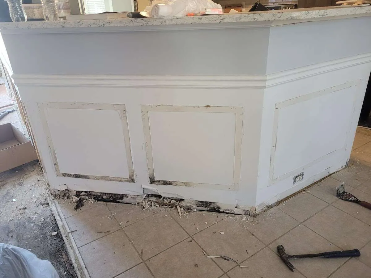 Water damage and mold on kitchen during Sewage Cleanup & Sanitation in Bardmoor